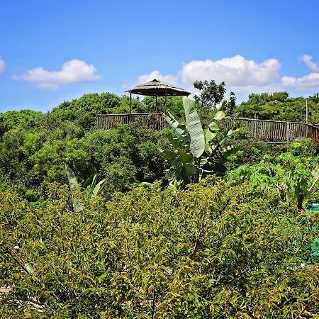 Kosi Bay Lodge Manguzi Eksteriør billede