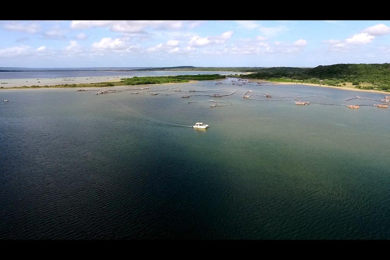 Kosi Bay Lodge Manguzi Eksteriør billede
